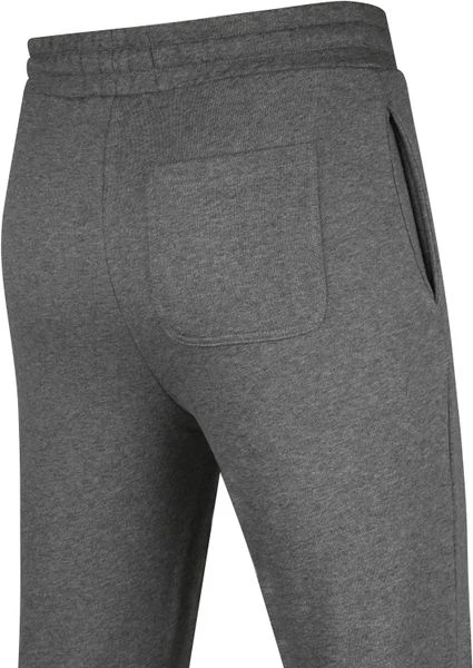 Lyle And Scott Joggingbroeken Lyle & Scott Joggingbroek Grijs 4 Lyle And Scott Joggingbroeken Lyle & Scott Joggingbroek Grijs - Afbeelding 4