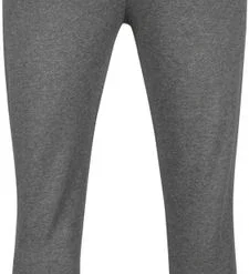 Lyle And Scott Joggingbroeken Lyle & Scott Joggingbroek Grijs 10 Lyle And Scott Joggingbroeken Lyle & Scott Joggingbroek Grijs -Broeken&Jeans || Jassen Winkel 73511 4